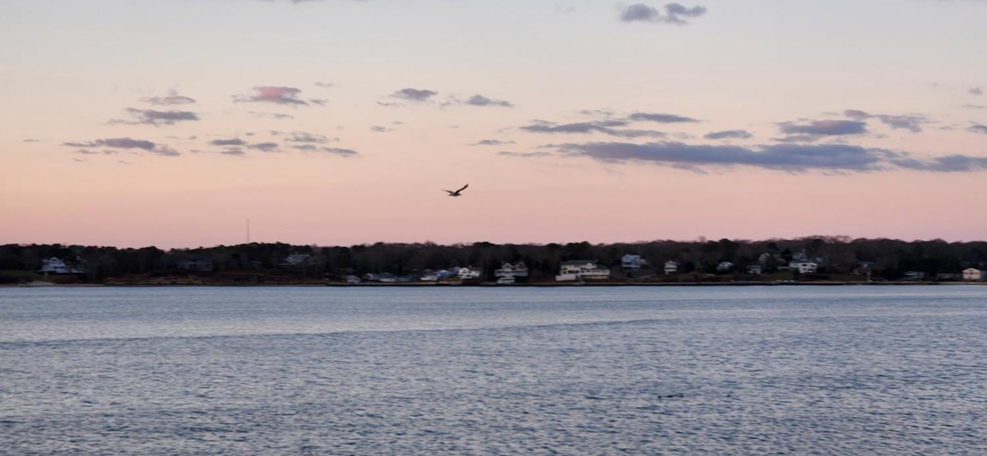 Motel Ocean View Terrace Hampton Bays Esterno foto