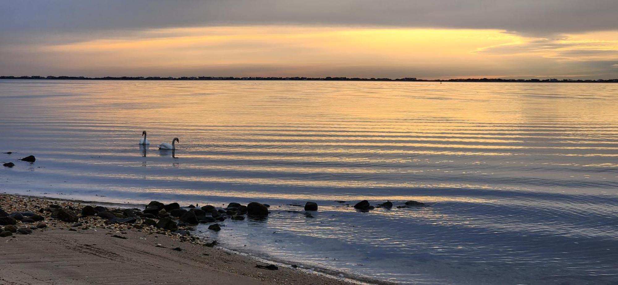 Motel Ocean View Terrace Hampton Bays Esterno foto